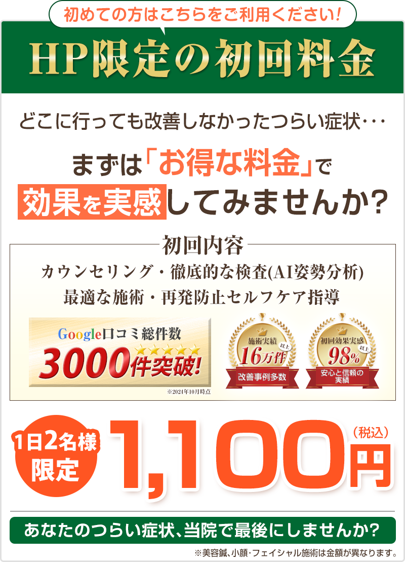 初回限定1,100円
